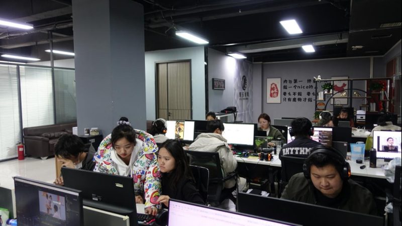纪录片脚本撰写：专业之道，细节决定成败
