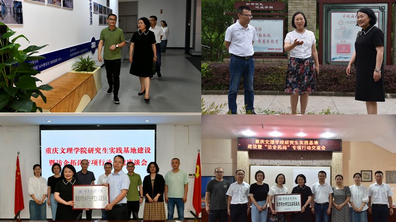 媒介投放案例定制方案：揭秘高效内容营销之道